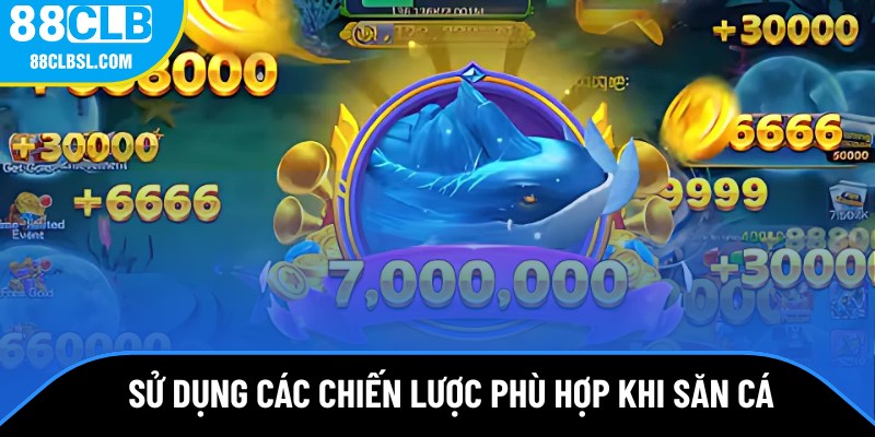 Sử dụng các chiến lược phù hợp khi săn cá Sử dụng các chiến lược phù hợp khi săn cá